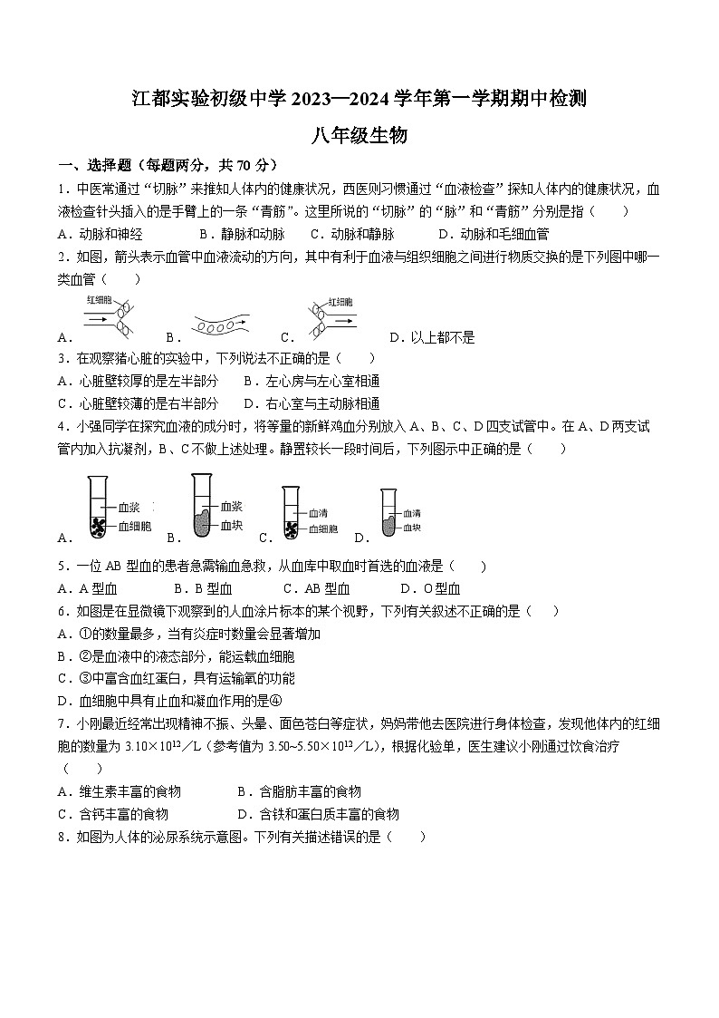 江苏省扬州市江都区实验初级中学2023-2024学年八年级上学期期中生物试卷(无答案)第1页