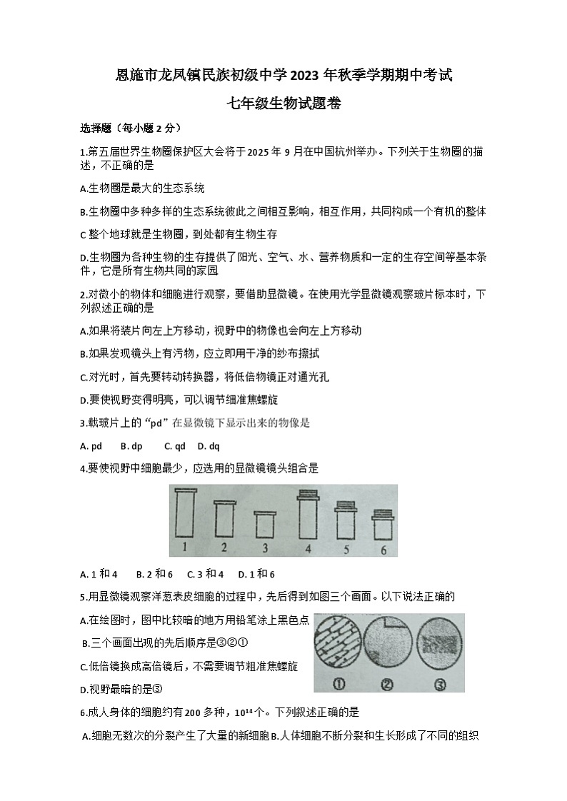 湖北省恩施市龙凤镇民族初级中学2023-2024学年七年级上学期生物期中试题第1页