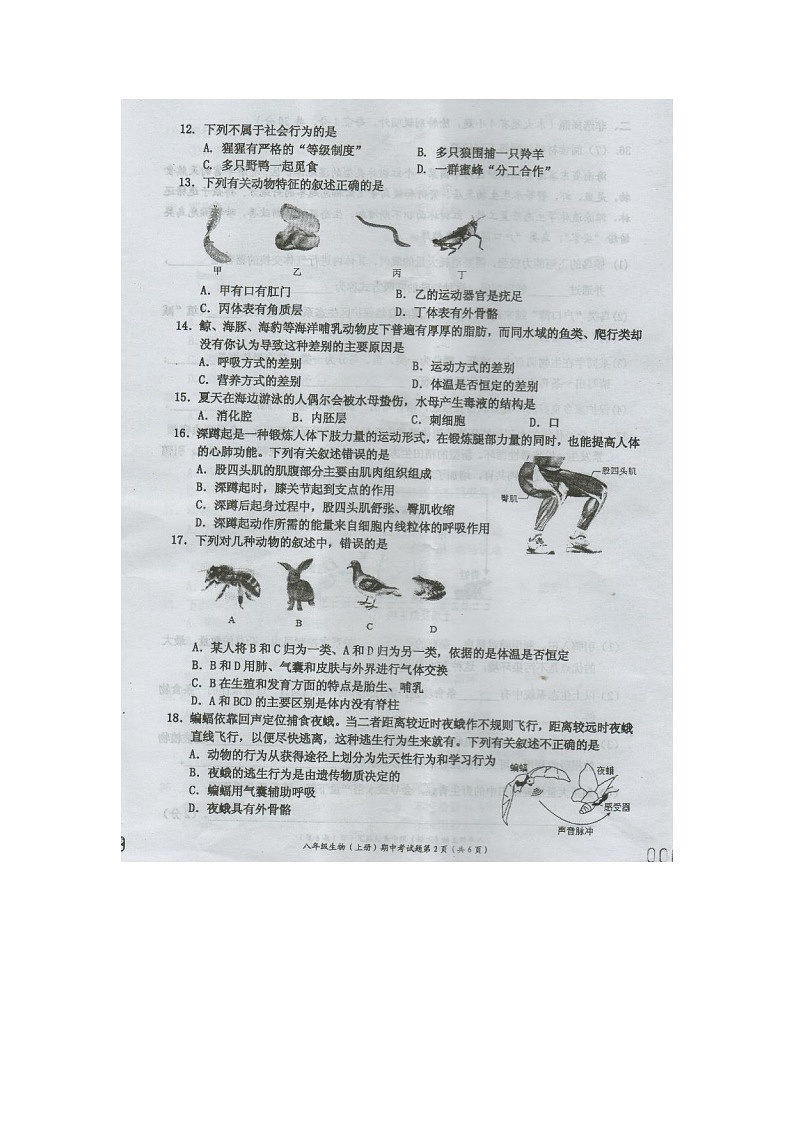 海南省文昌市2023-2024学年八年级上学期期中考试生物试题第2页