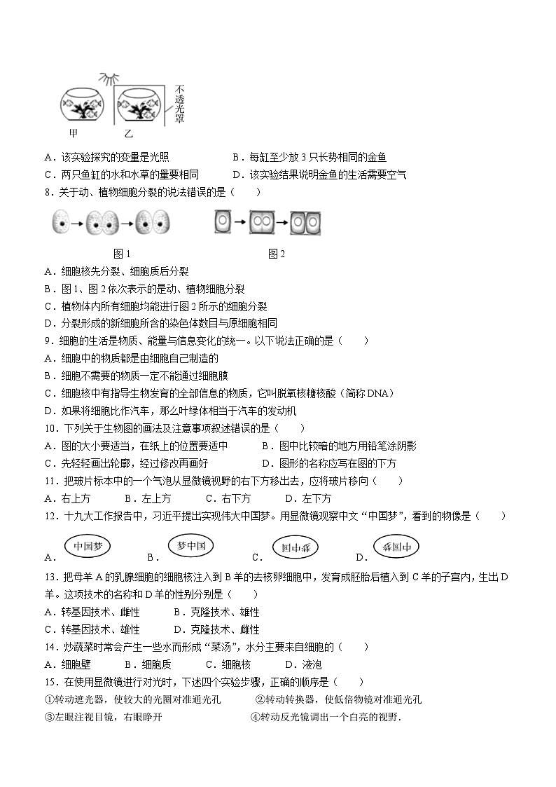 河南省焦作市中站区2023-2024学年七年级上学期期中考试生物试题02