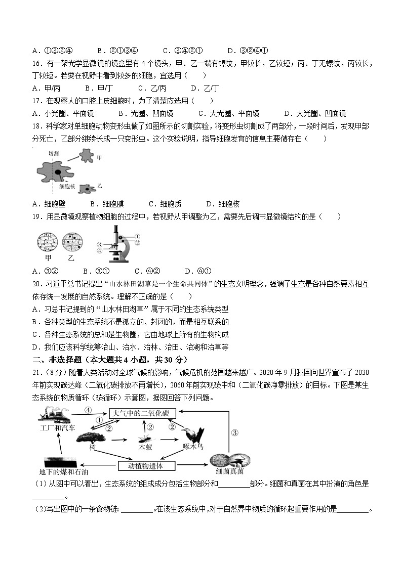 河南省焦作市中站区2023-2024学年七年级上学期期中考试生物试题03