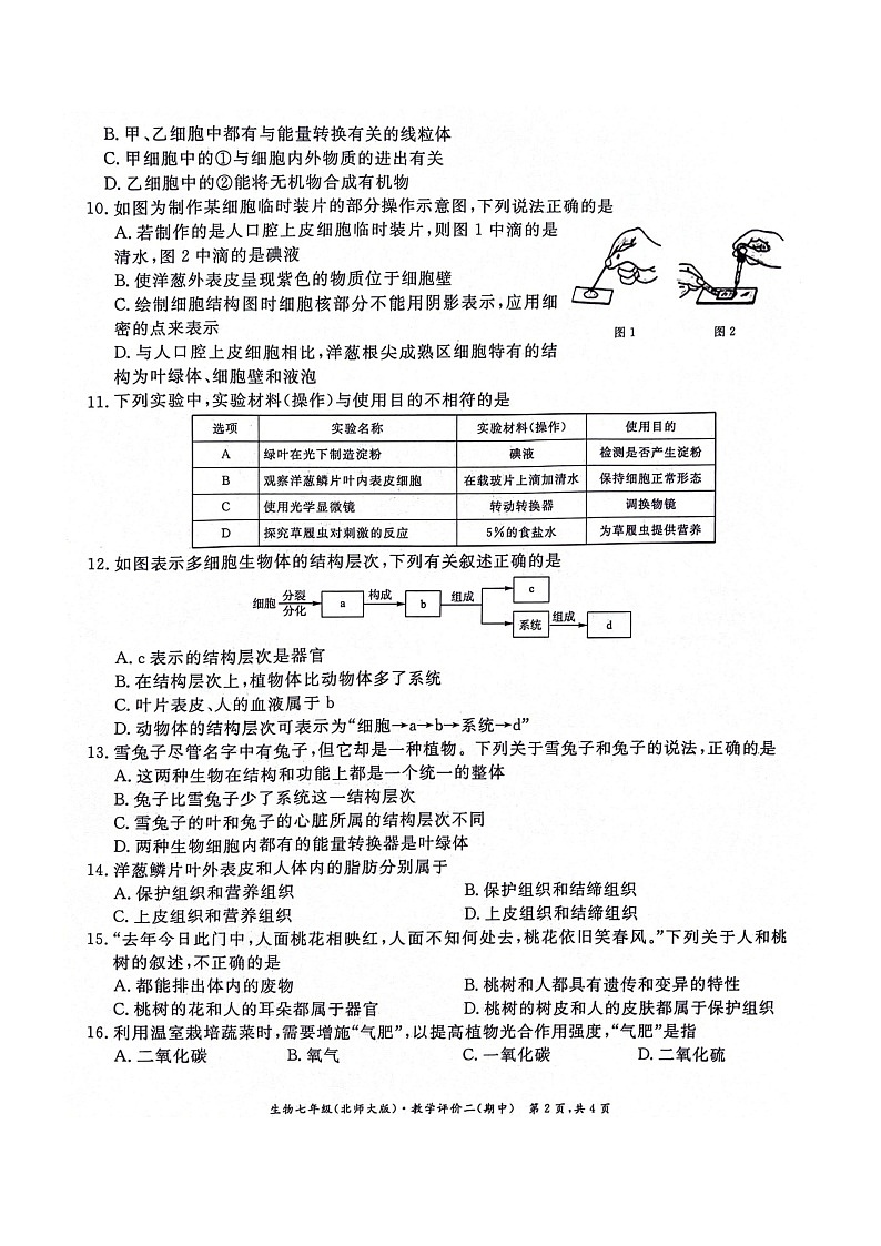 安徽省淮北市五校联考2023-2024学年七年级上学期期中考试生物试题02