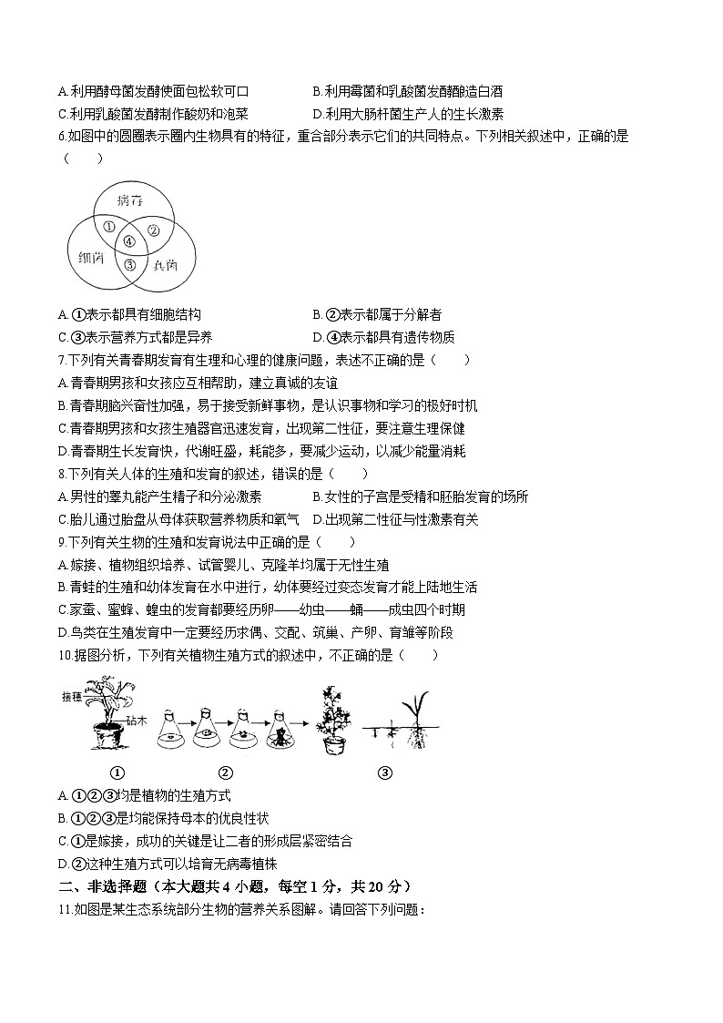 安徽省淮南市凤台县第四中学2023-2024学年八年级上学期期中生物试题02