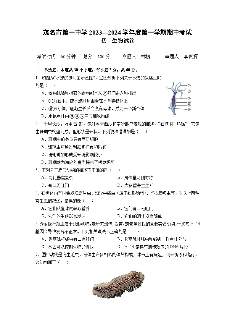 广东省茂名市第一中学2023-2024学年八年级上学期期中考试生物试卷01