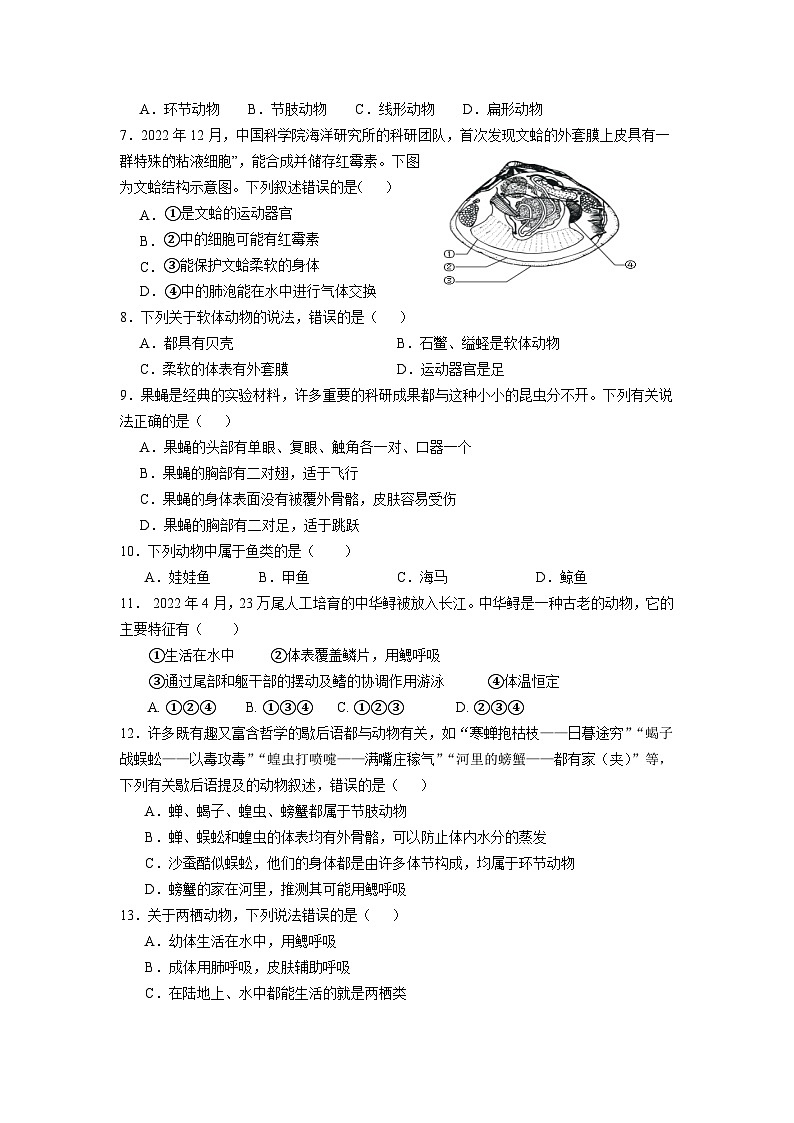 广东省茂名市第一中学2023-2024学年八年级上学期期中考试生物试卷02