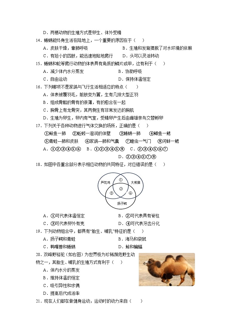 广东省茂名市第一中学2023-2024学年八年级上学期期中考试生物试卷03