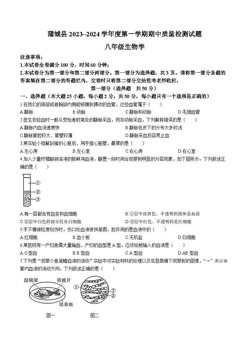 陕西省渭南市蒲城县2023-2024学年八年级上学期期中质量检测生物试题第1页