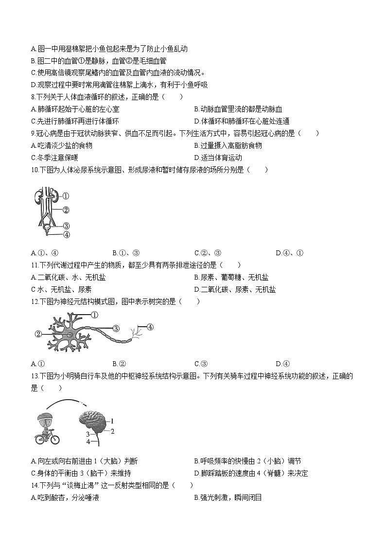 陕西省渭南市蒲城县2023-2024学年八年级上学期期中质量检测生物试题第2页