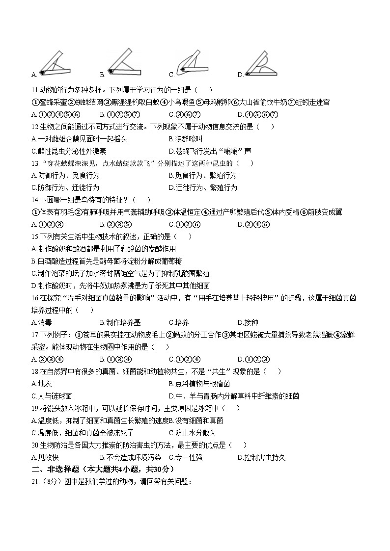 河南省焦作市中站区2023-2024学年八年级上学期期中考试生物试题02