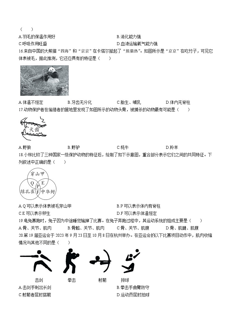 贵州省六盘水市2023-2024学年八年级上学期期中生物试卷03