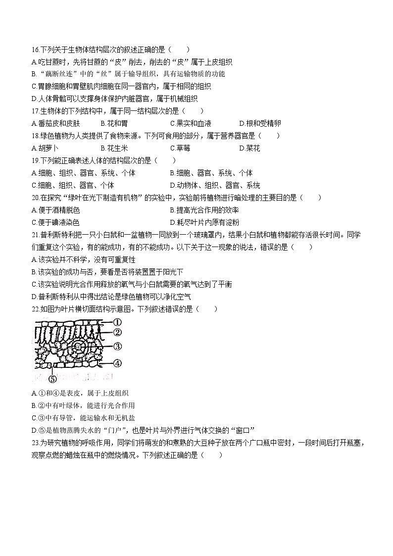 安徽省宿州市砀山县2023-2024学年七年级上学期期中质量检测生物试题第3页