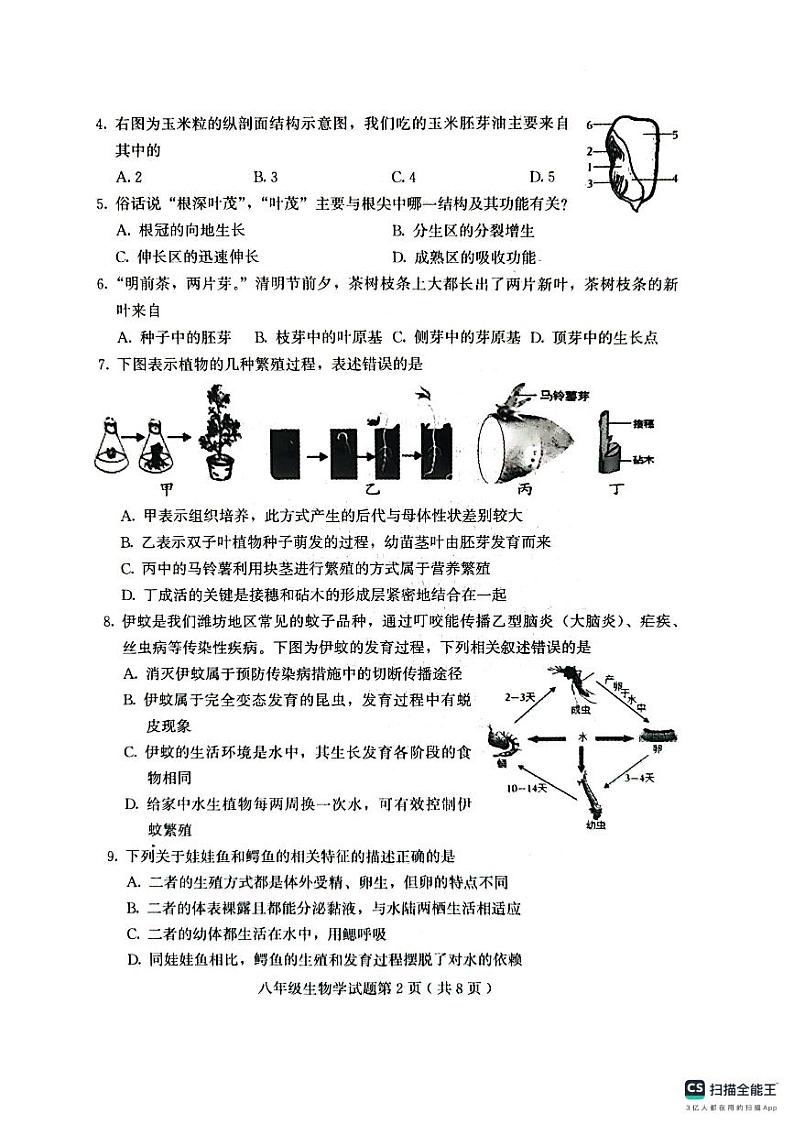 山东省潍坊市诸城市2023-2024学年八年级上学期期中生物学试题第2页