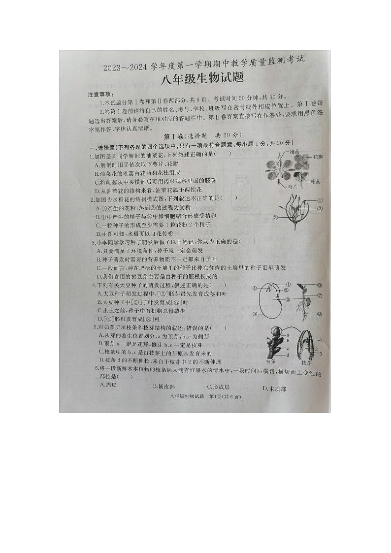 山东省济宁市曲阜市2023-2024学年八年级上学期期中考试生物学试题01