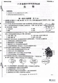 陕西省安康市汉滨初级中学2023-2024学年八年级上学期期中测评生物学试卷