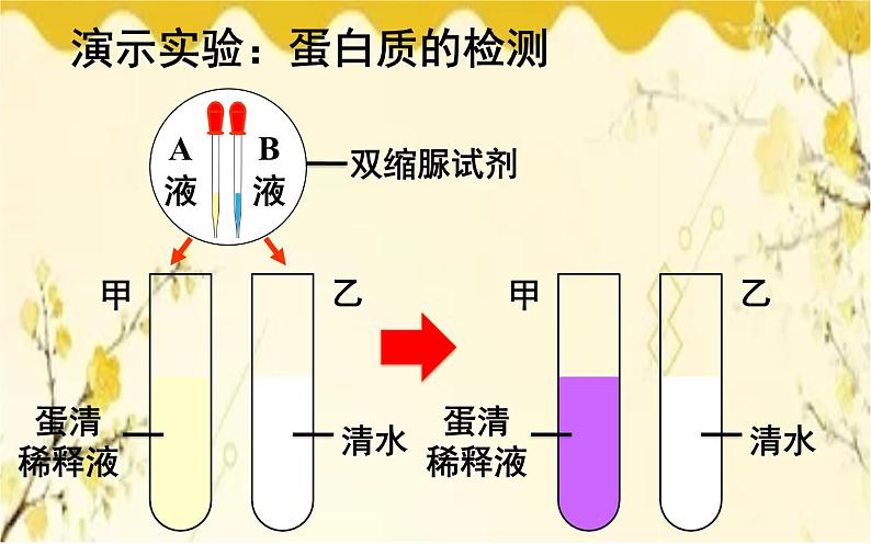 北师大版生物学七年级下册  第8章  人体的营养第1节  人类的食物-课件第5页