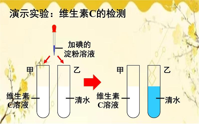 北师大版生物学七年级下册  第8章  人体的营养第1节  人类的食物-课件第8页