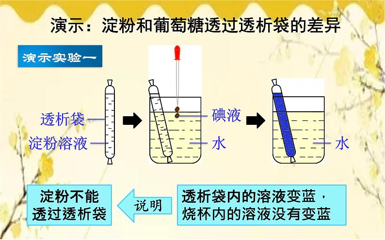 北师大版生物学七年级下册  第8章  人体的营养第1课时  消化系统 的组成和食物的消化-课件08