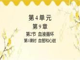 北师大版生物学七年级下册  第9章  人体内的物质运输第1课时  血管和心 脏-课件