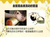 北师大版生物学七年级下册  第9章  人体内的物质运输第1课时  血管和心 脏-课件