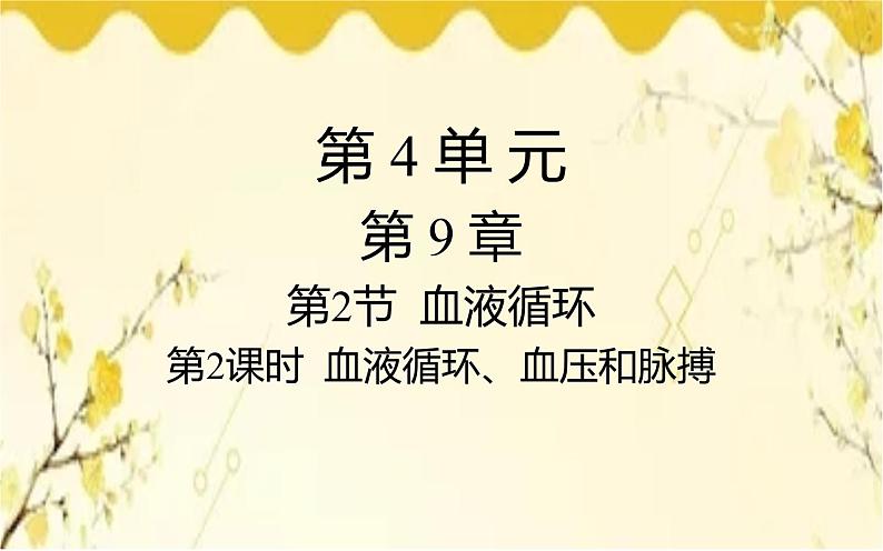 北师大版生物学七年级下册  第九章 第二课时  血液循环、血压和脉搏-课件01