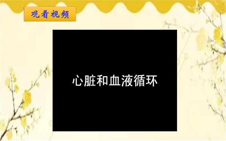 北师大版生物学七年级下册  第九章 第二课时  血液循环、血压和脉搏-课件03