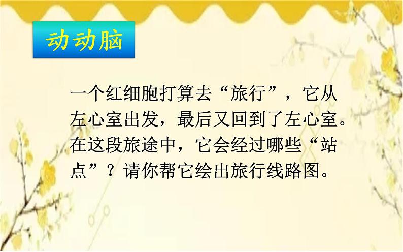 北师大版生物学七年级下册  第九章 第二课时  血液循环、血压和脉搏-课件05