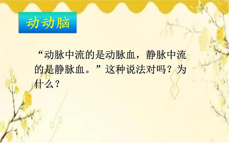 北师大版生物学七年级下册  第九章 第二课时  血液循环、血压和脉搏-课件06