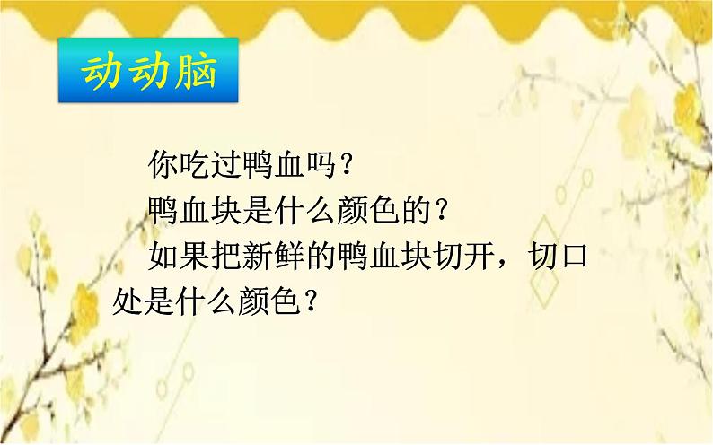 北师大版生物学七年级下册  第九章 第二课时  血液循环、血压和脉搏-课件07