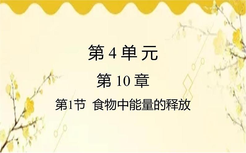 北师大版生物学七年级下册  第10章  人体的能量供应第1节  食物中能量 的释放-课件01