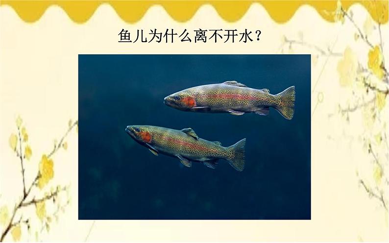 北师大版生物学七年级下册  第10章  人体的能量供应第1课时  呼吸系统 的组成-课件02