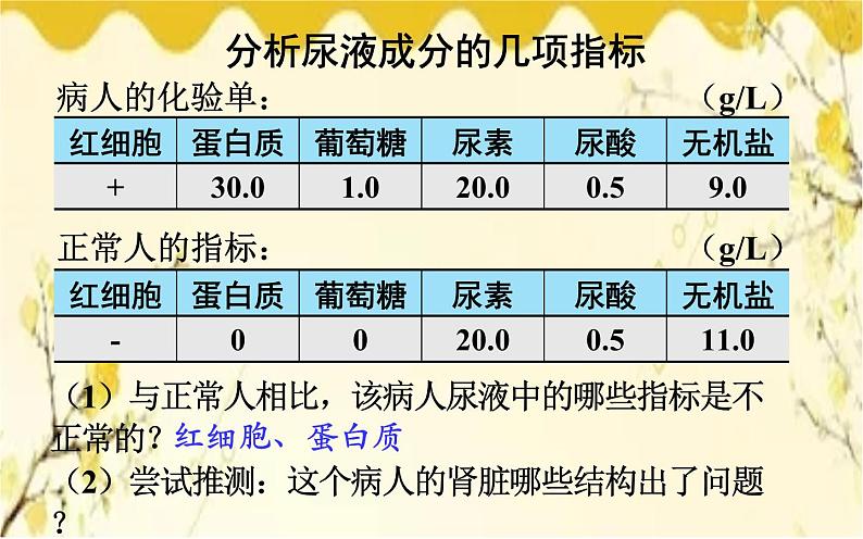 北师大版生物学七年级下册  第11章  人体代谢废物的排出第2节  尿的形成与 排出-课件08