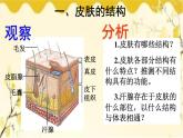 北师大版生物学七年级下册  第11章  人体代谢废物的排出第3节  皮肤与汗液 分泌-课件