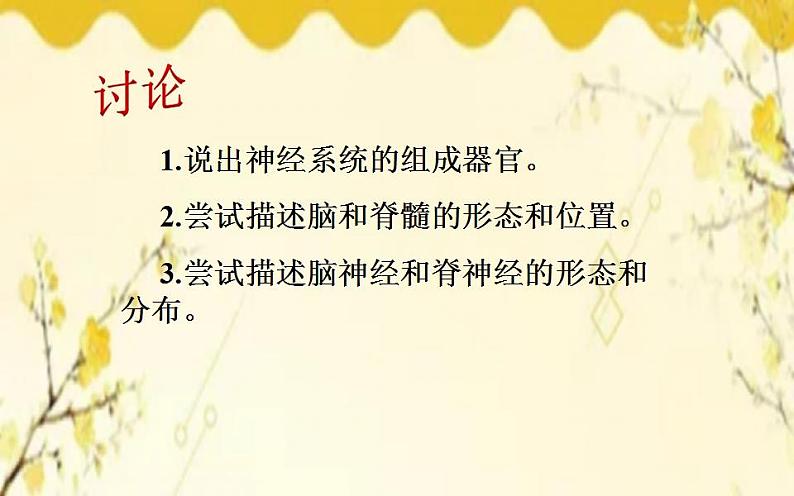 北师大版生物学七年级下册  第12章  人体的自我调节第1课时  神经系统 的组成和神经元-课件第4页