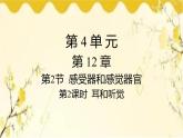 北师大版生物学七年级下册  第12章  人体的自我调节第2课时  耳和听觉-课件