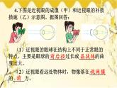 北师大版生物学七年级下册  第12章  人体的自我调节第2课时  耳和听觉-课件
