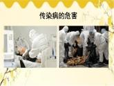 北师大版生物学七年级下册  第13章  健康地生活第2节  预防传染病-课件