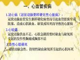 北师大版生物学七年级下册  第13章  健康地生活第4节  当代主要疾 病和预防-课件