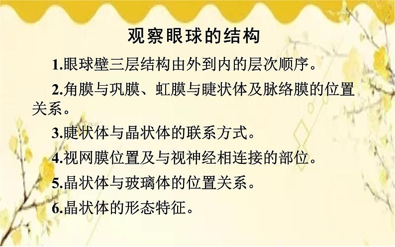 北师大版生物学七年级下册 第十二章 第一课时  眼和视觉-课件第8页