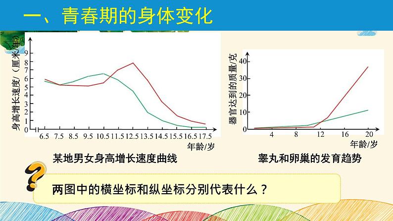 人教版生物七年级下册 第一章  人的由来第 三节  青春期（案例一）-课件03