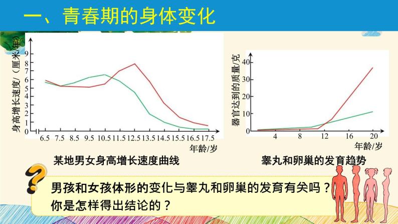 人教版生物七年级下册 第一章  人的由来第 三节  青春期（案例一）-课件07