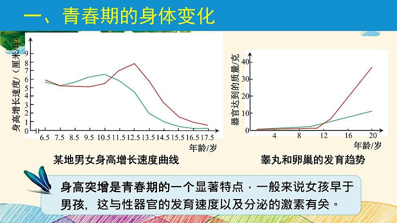 人教版生物七年级下册 第一章  人的由来第 三节  青春期（案例一）-课件08