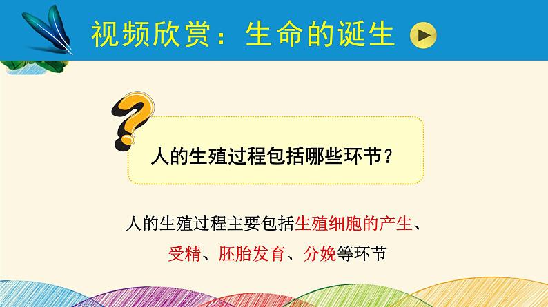 人教版生物七年级下册 第一章  人的由来第 二节  人的生殖（案例一）第二课时-课件04