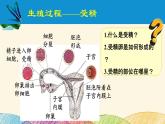 人教版生物七年级下册 第一章  人的由来第 二节  人的生殖（案例一）第二课时-课件