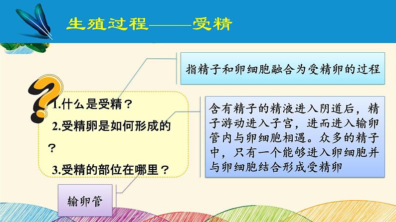 人教版生物七年级下册 第一章  人的由来第 二节  人的生殖（案例一）第二课时-课件06