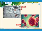 人教版生物七年级下册 第三章  人体的呼吸    第一节  呼吸道对空气的处理（案例一）  第一节  呼吸道对空气的处理（案例一）-课件-课件