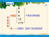 人教版生物七年级下册 第三章  人体的呼吸    第一节  呼吸道对空气的处理（案例一）  第一节  呼吸道对空气的处理（案例一）-课件-课件