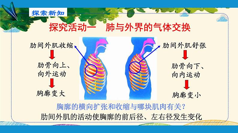 人教版生物七年级下册 第三章  人体的呼吸    第二节  发生在肺内的气体交换（案例一）-课件07