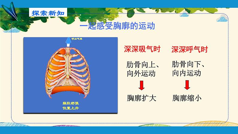 人教版生物七年级下册 第三章  人体的呼吸    第二节  发生在肺内的气体交换（案例一）-课件08