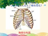 人教版生物七年级下册 第三章  人体的呼吸    第二节 发生在肺内的气体交换（案例二）-课件