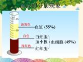 人教版生物七年级下册 第四章  人体内物质 的运输 第一节 流动的组织——血液（案例二）-课件